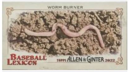 2022 Topps Allen & Ginter - Mini Lexicon - BL-3 Worm Burner