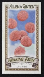 2022 Topps Allen & Ginter - Mini Bearing Fruit - BF-12 Lychee