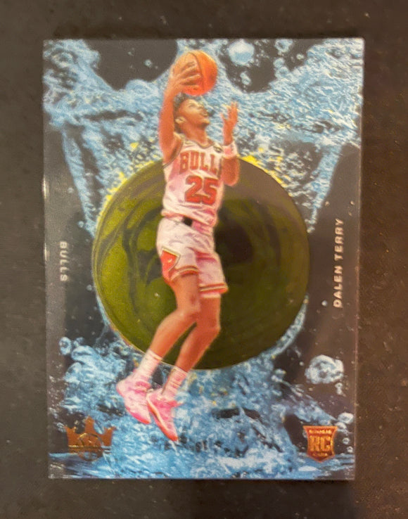 2022-23 Panini Court Kings - Rookie Card RC - Acetate - 10 Dalen Terry - Chicago Bulls