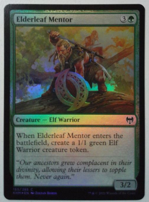 Magic the Gathering - Kaldheim - Elderleaf Mentor - Foil